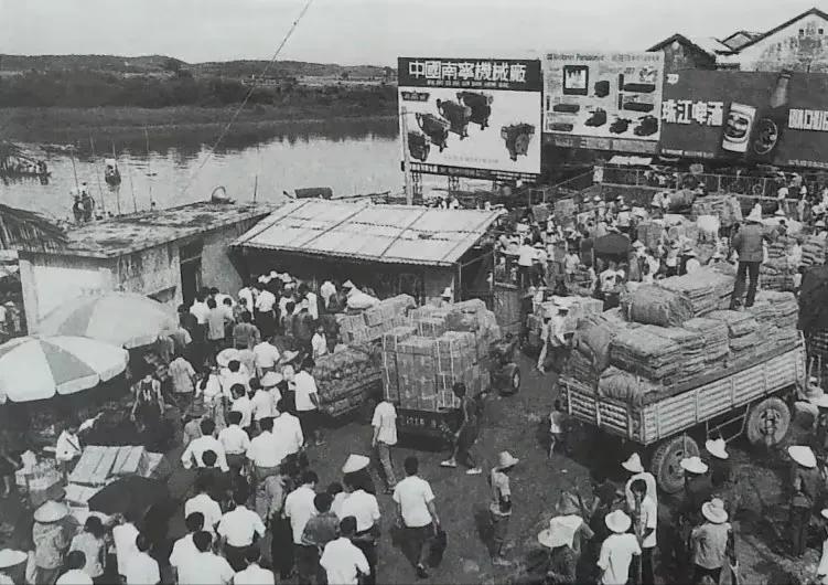 我的海外旅游记录,我的国外旅行经历