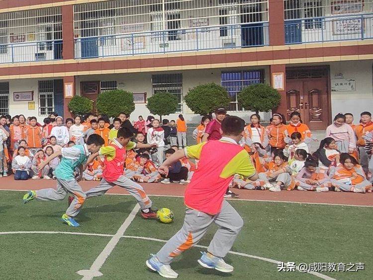 渭城区足球校园杯,渭城区第六届校园足球联赛五年级