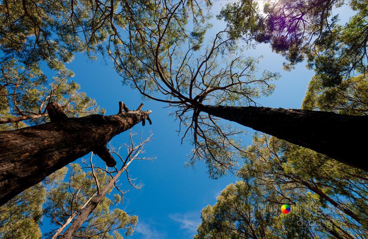 旅行家的眼神，看到不一样的人文澳洲（四之一）