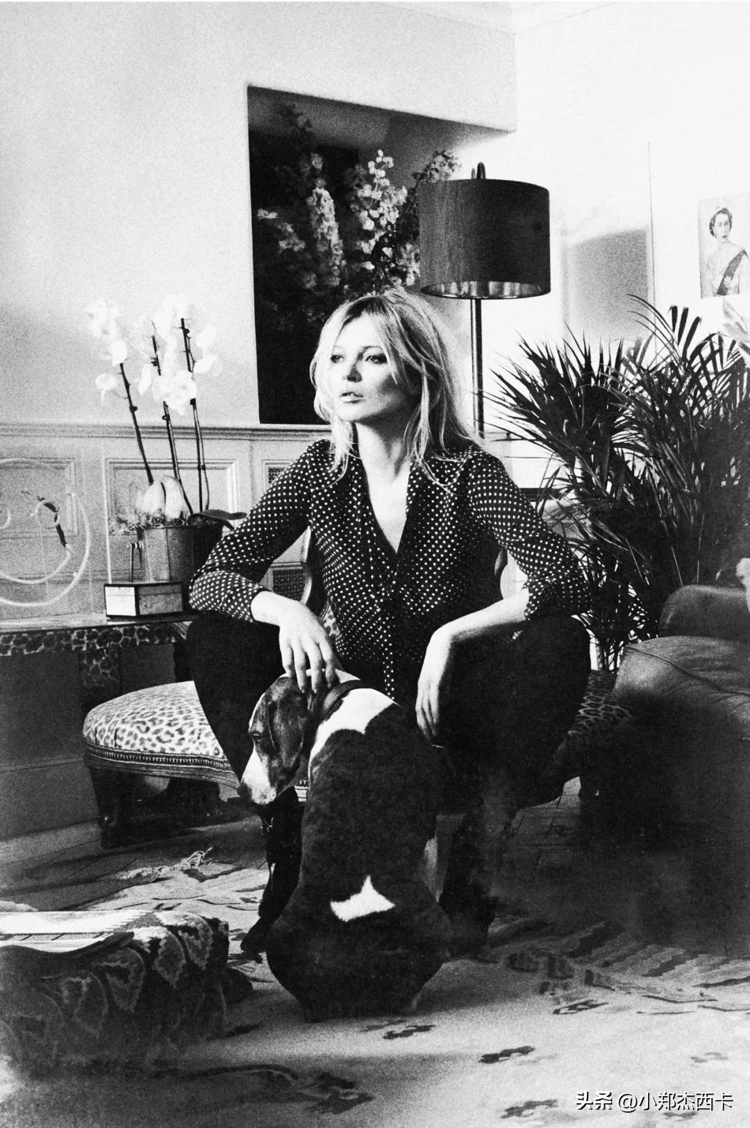 时髦精不得不知道的小众品牌,那些藏得很深的小众品牌