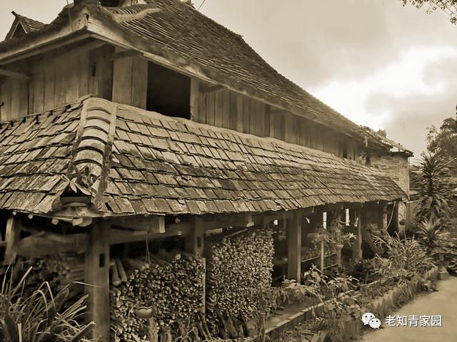 在农村当知青七八十年代,回想在农村插队时