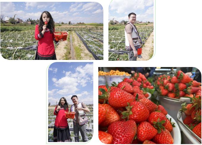 云南旅游昆明周边石林纯玩一日游,昆明从机场出发石林一日游攻略