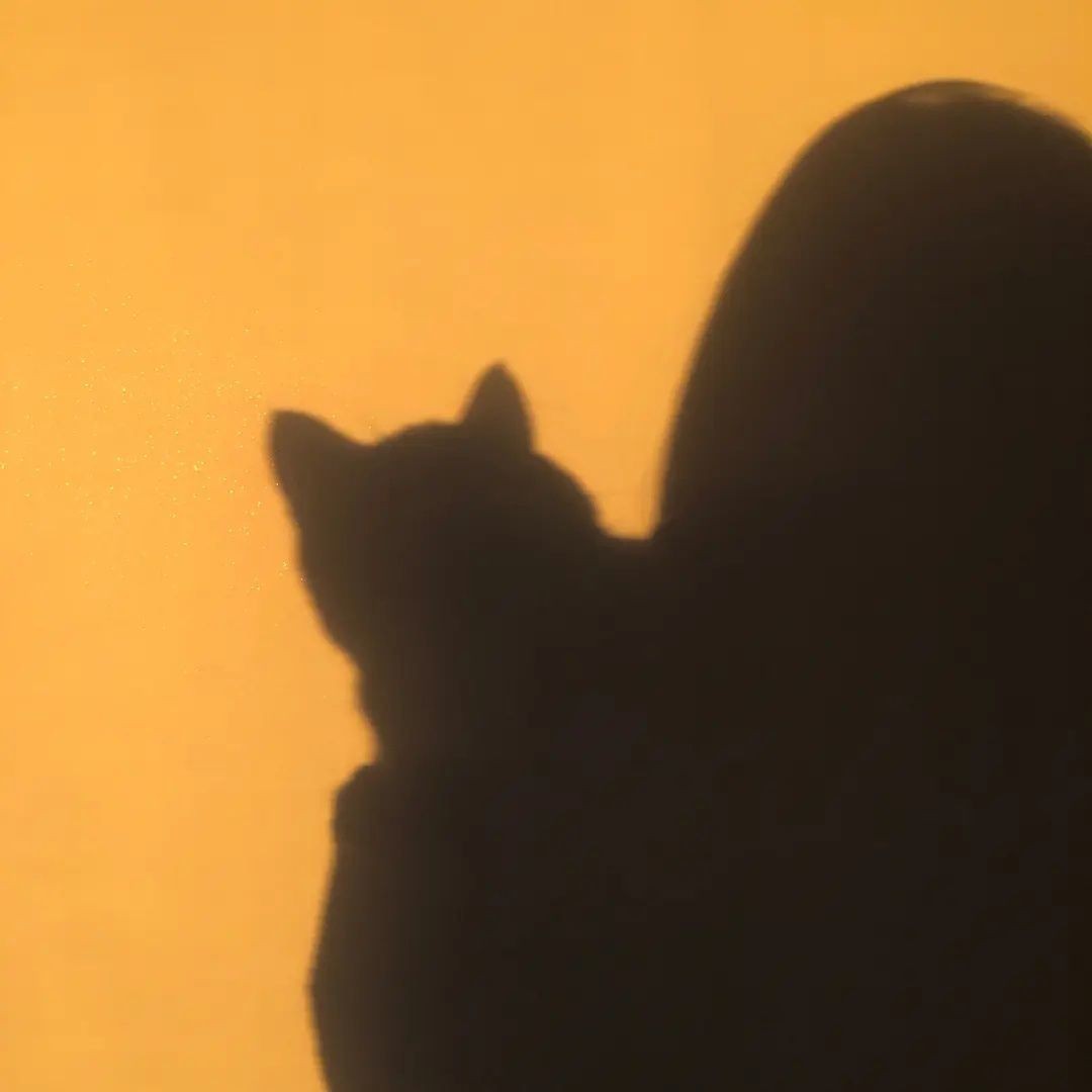 含蓄低调让人不会发现的情侣头像,隐晦又不易察觉的情侣头像