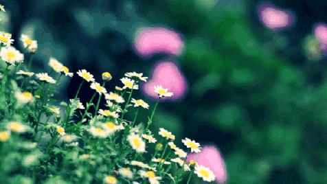 买卖微信定罪,售卖自己微信判刑案例