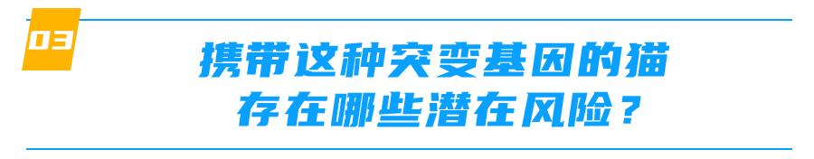 mdr1基因缺失什么意思,mdr1a怎么样