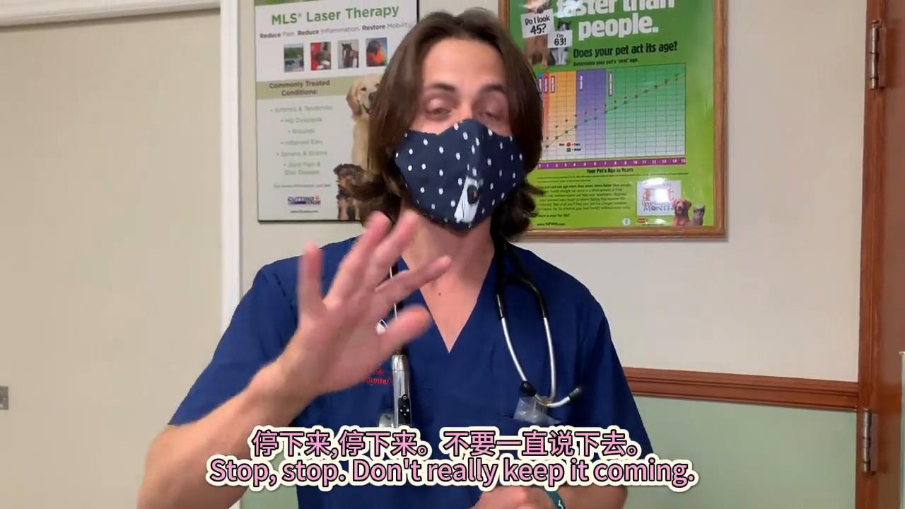 狗子韧带撕裂怎么食补,狗韧带撕裂保守治疗