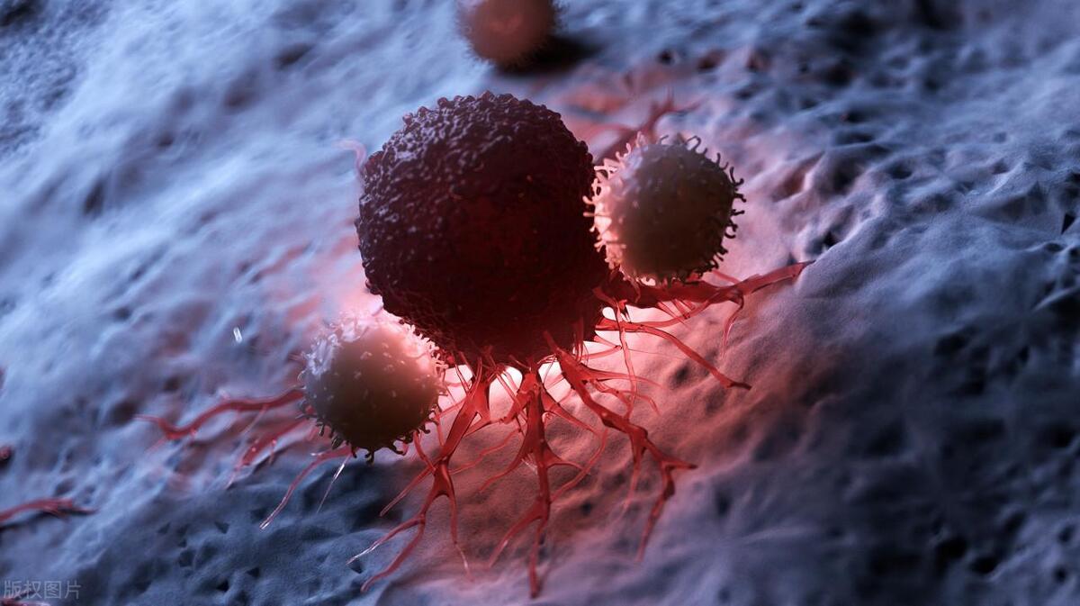 干细胞行业产品发展趋势,干细胞行业前景如何