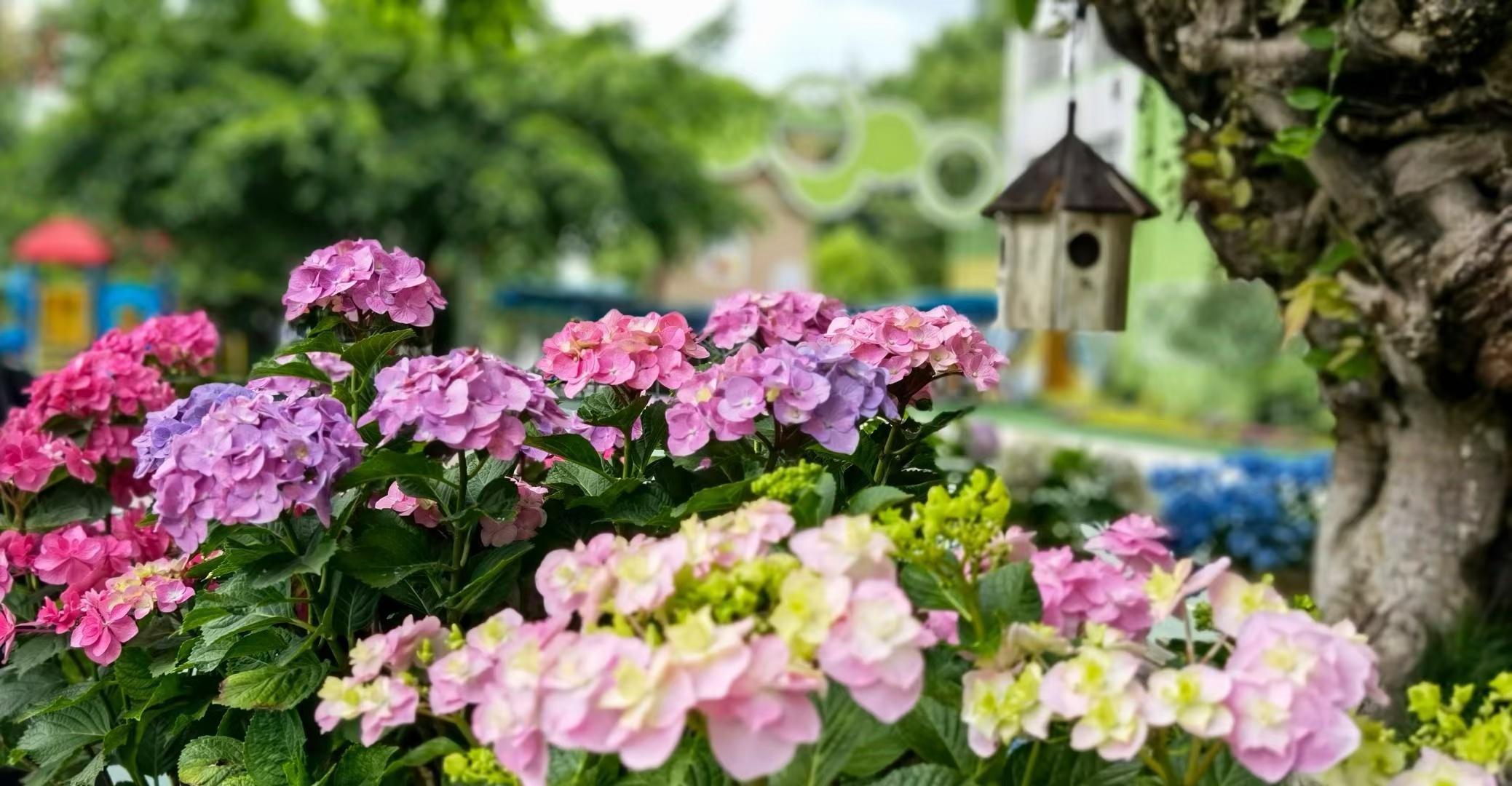 当古诗词遇上六一儿童节的浪漫,充满诗情画意的童年