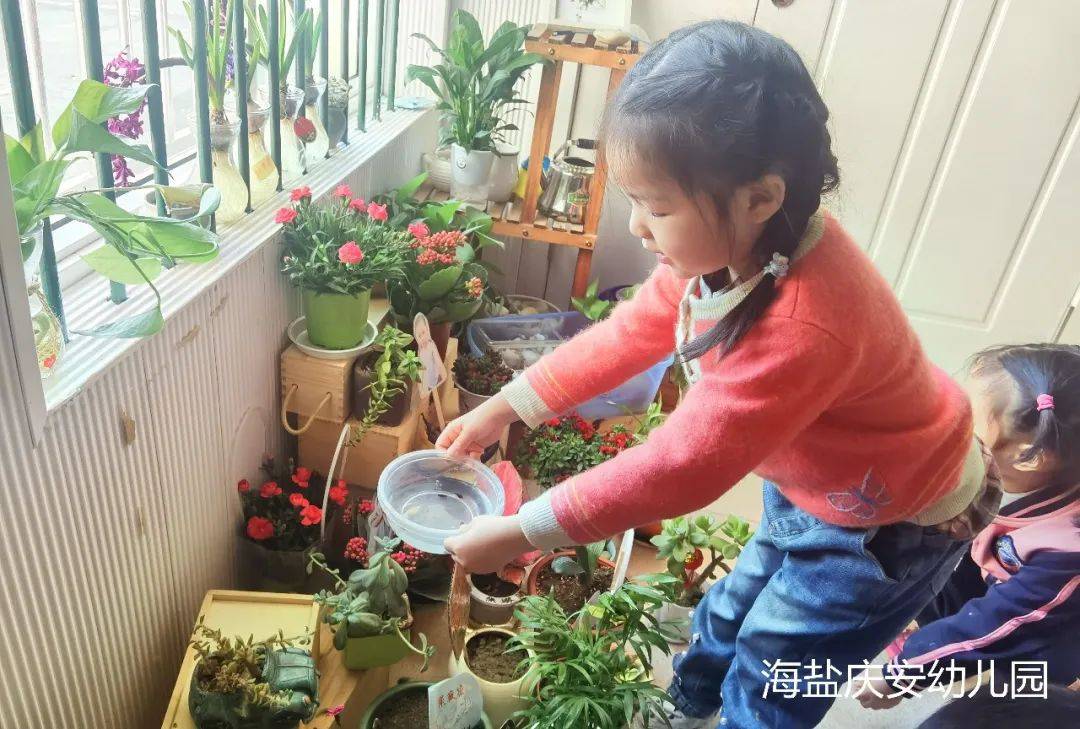 邂逅蝌蚪，感受生命的演变—诺亚舟海盐庆安幼儿园小一班