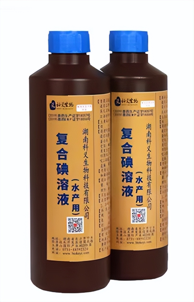 甲鱼红底板和白底板,甲鱼红底板图片