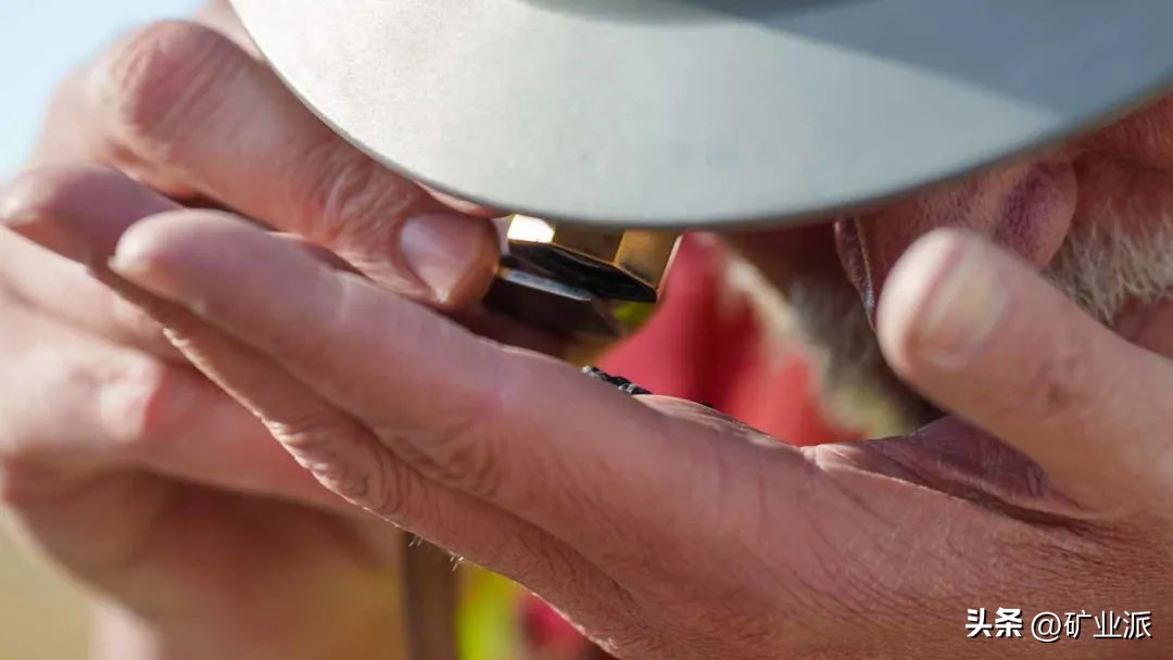 黄金矿业走势,最年轻国际黄金矿业巨头成长史