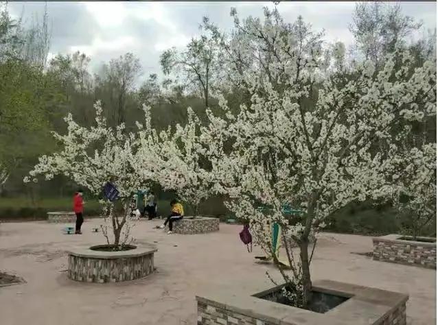 乌鲁木齐2020年十大公园,乌鲁木齐公园数量