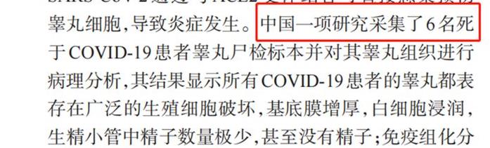 专家谈新冠危害,新冠病毒对生殖系统影响