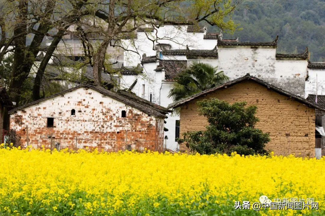 招募！荷赛大师带您记录“美丽中国美丽婺源”