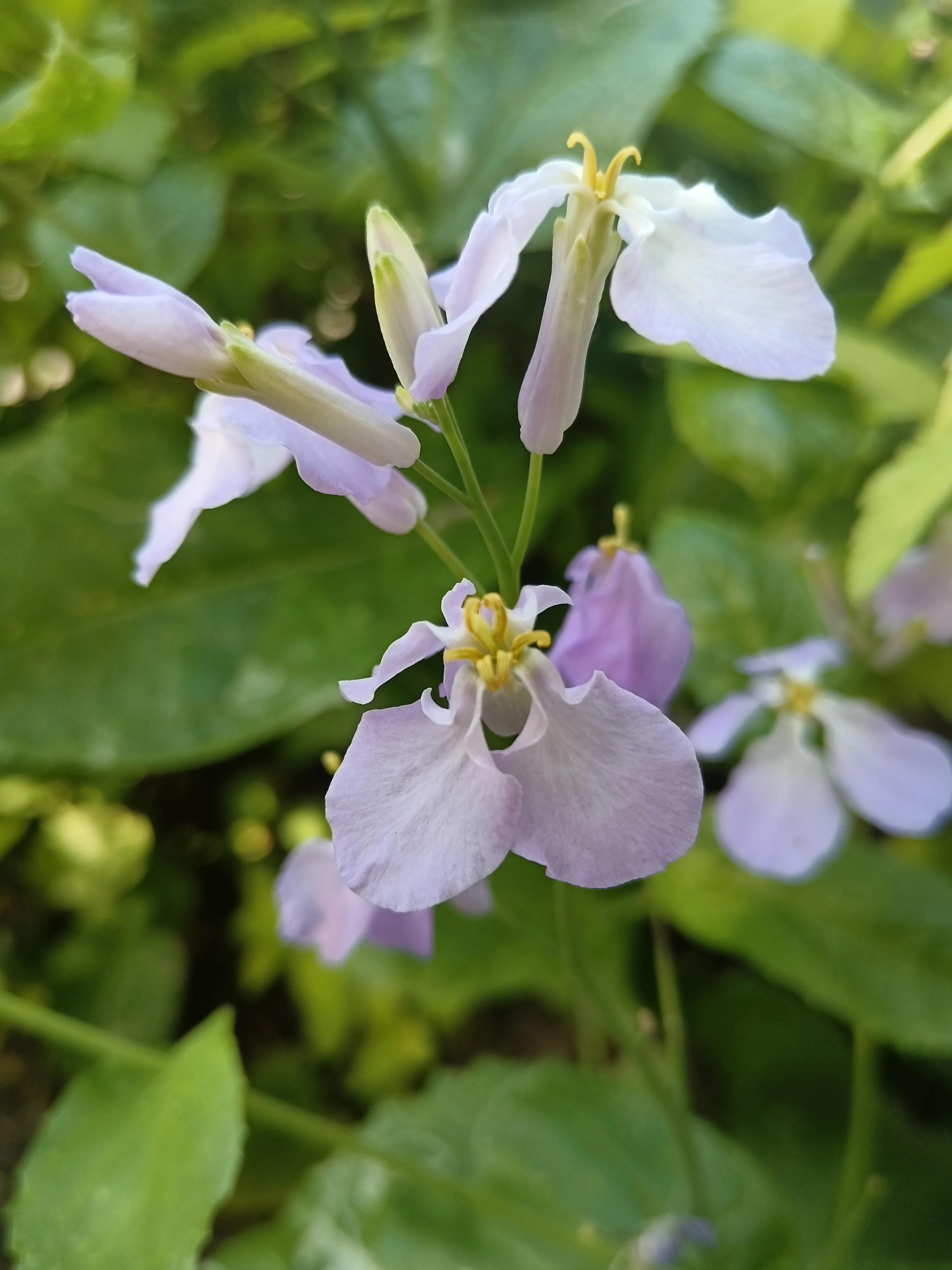 古汉语基础知识汇总,古代汉语趣味