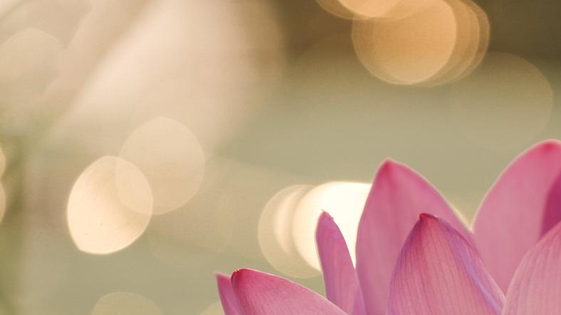 楞严经中讲自我和世界的形成,楞严经中最大的感悟