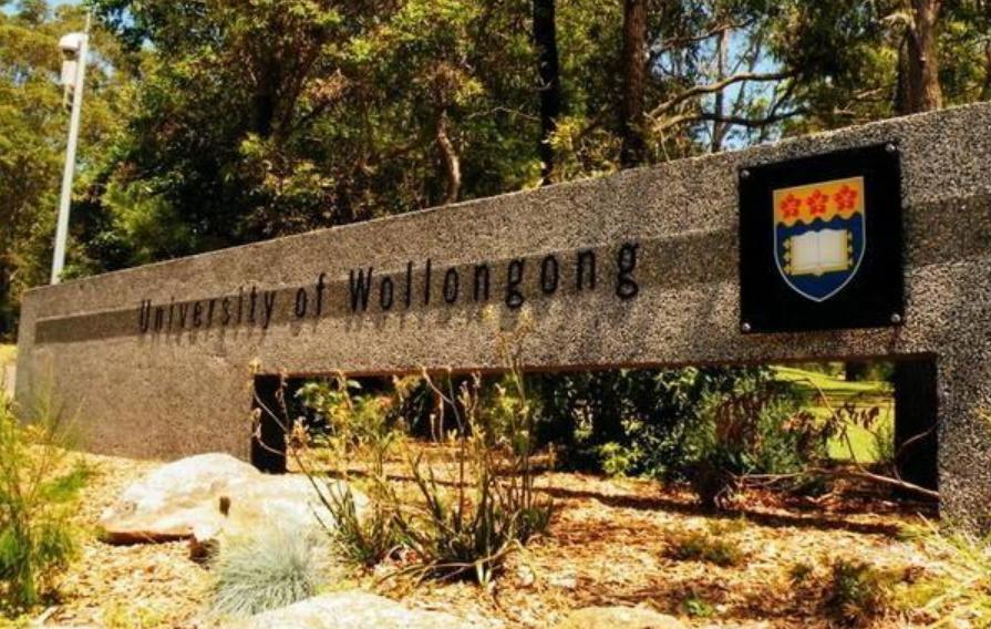 小伙放弃打工到大山里养殖,小伙放弃百万年薪转行回乡养猪