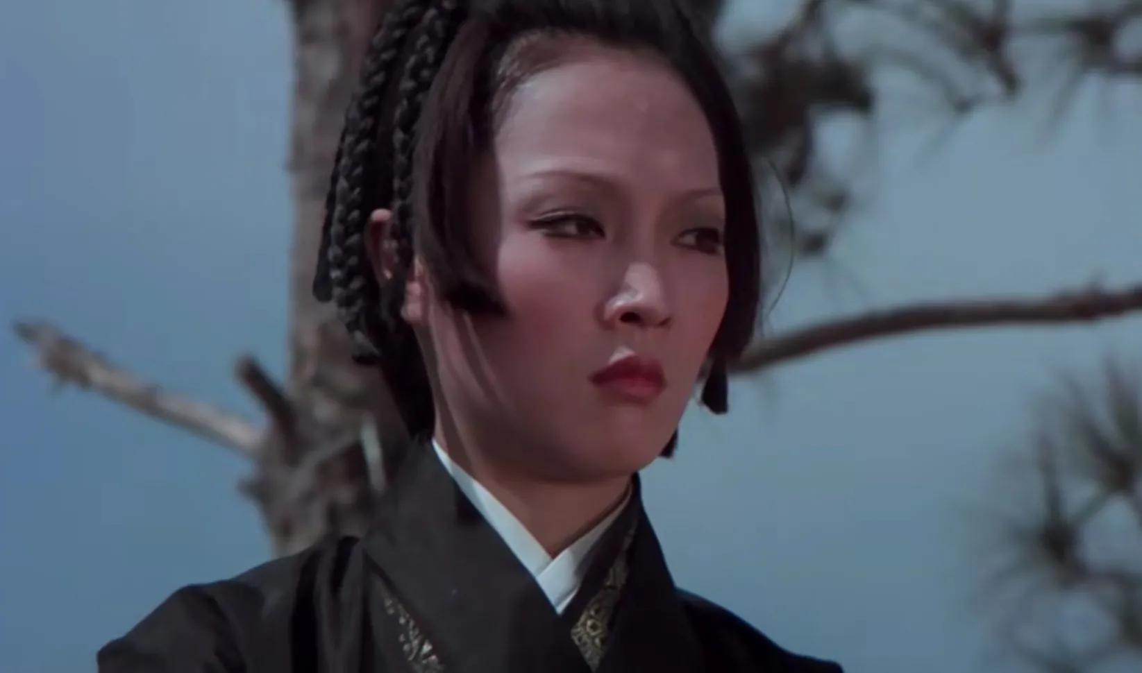 木婉清摘面纱,木婉清面纱被吹落的画面