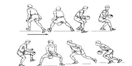篮球教学基本训练,篮球战术教学基本知识