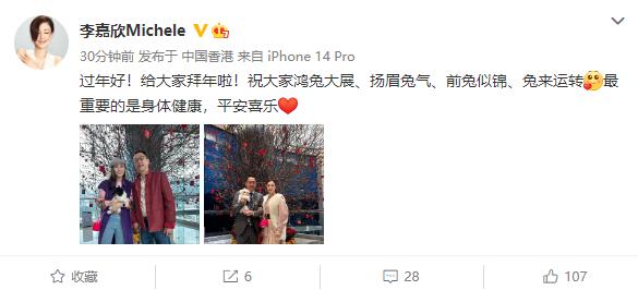 李嘉欣许晋亨结婚10年了还这么甜 (大刘李嘉欣许晋亨)