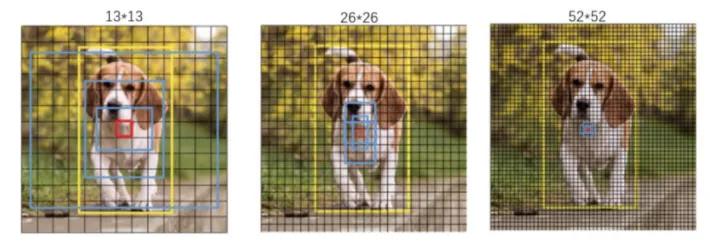 如何快速使用yolo,学习yolo之前要掌握什么知识