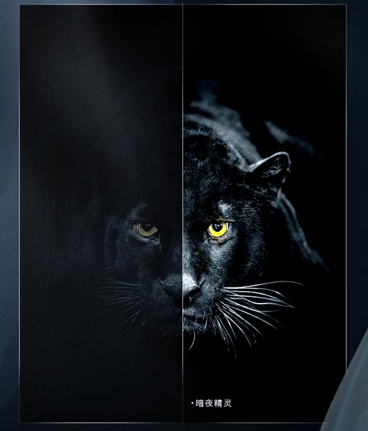 音质更好的OLED电视|东芝火箭炮X8900KF使用评测