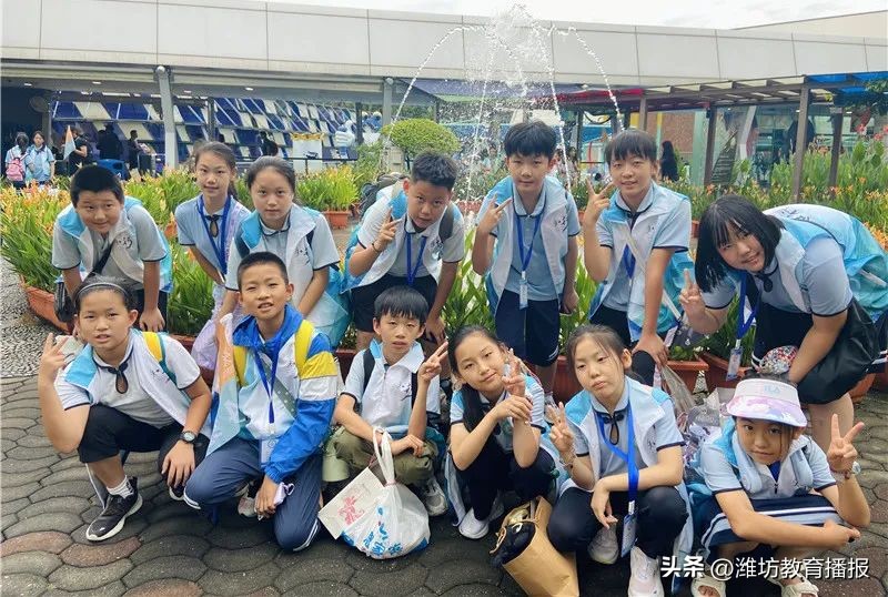 潍坊中新双语好进吗,潍坊中新双语校园