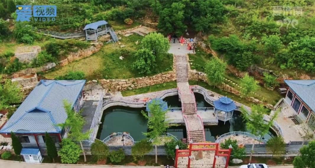 一棵树守护一眼泉一眼泉滋润一棵树