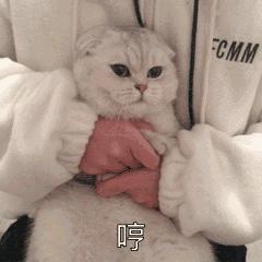 福州长乐怎么发展,2022年长乐会真正纳入福州六区吗