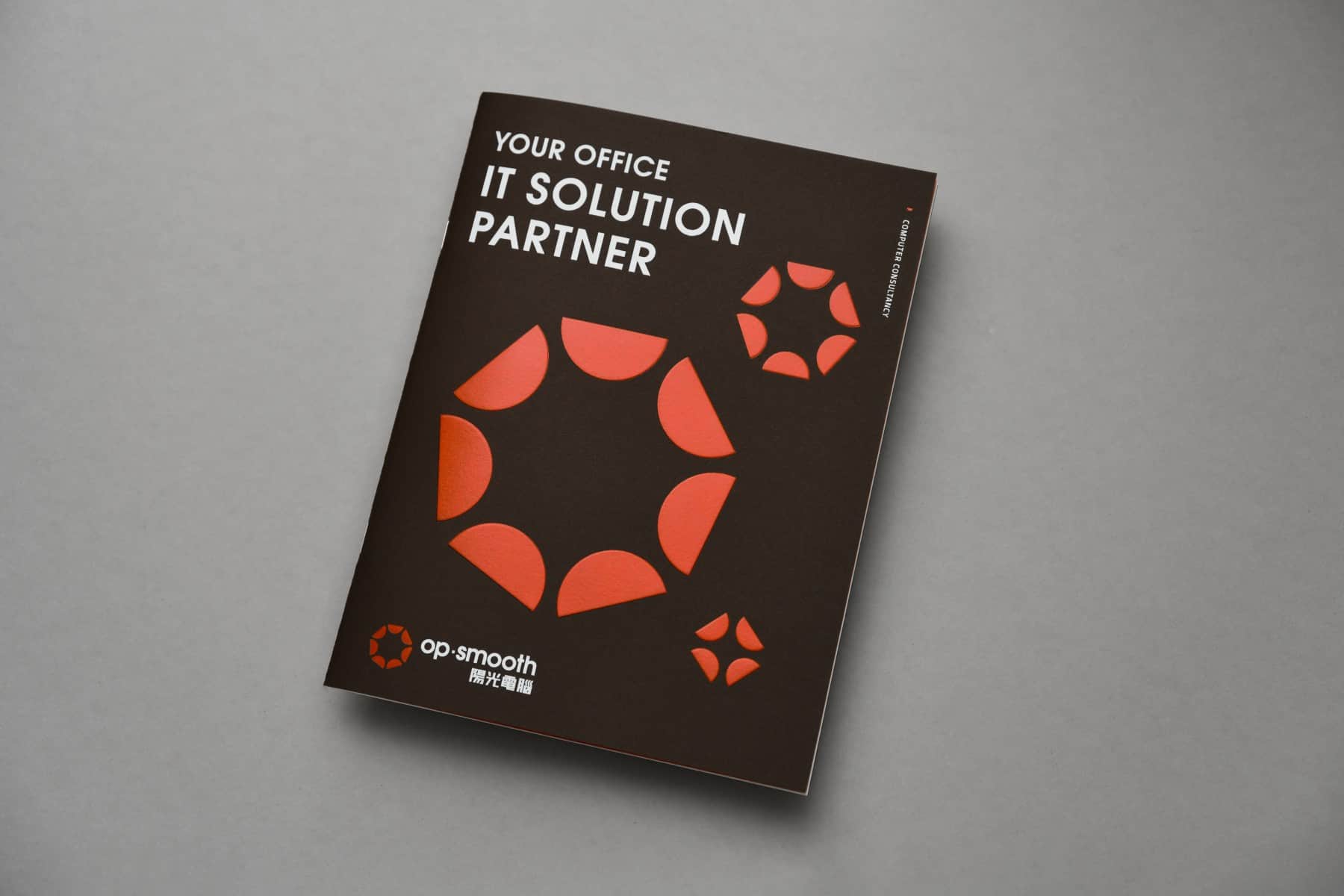 OP-Smooth阳光电脑品牌VI设计