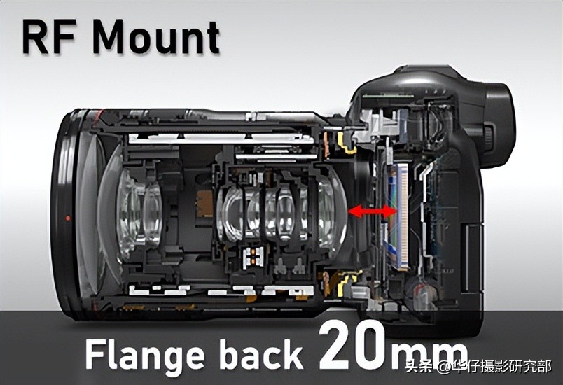佳能镜头EF和RF有什么区别,佳能efs机身能用ef镜头吗