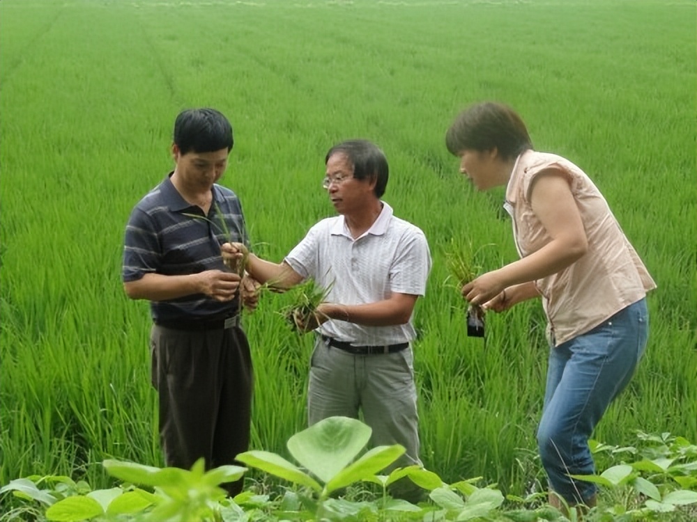 从吃饱到吃太饱,从吃饱到吃好餐桌变化