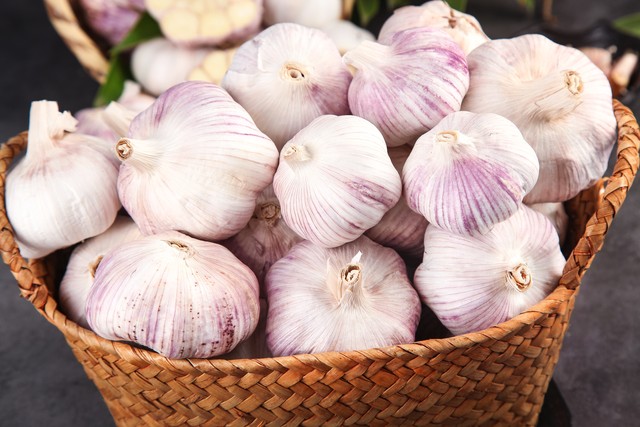 正宗紫皮大蒜哪个产地质量最好,中国出口大蒜最优质产地