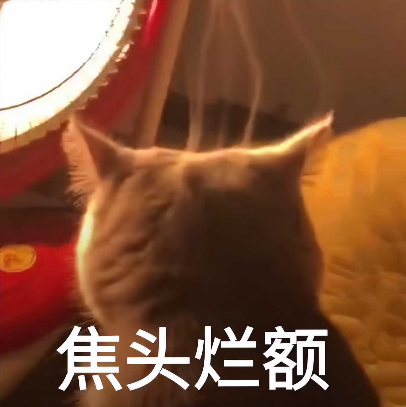 擦边网大拍这么烂，没救了