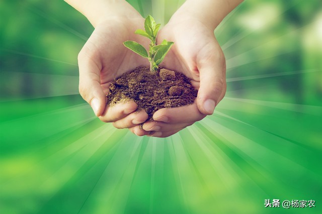 未来几年农业种植发展趋势,山区农业发展趋势及未来