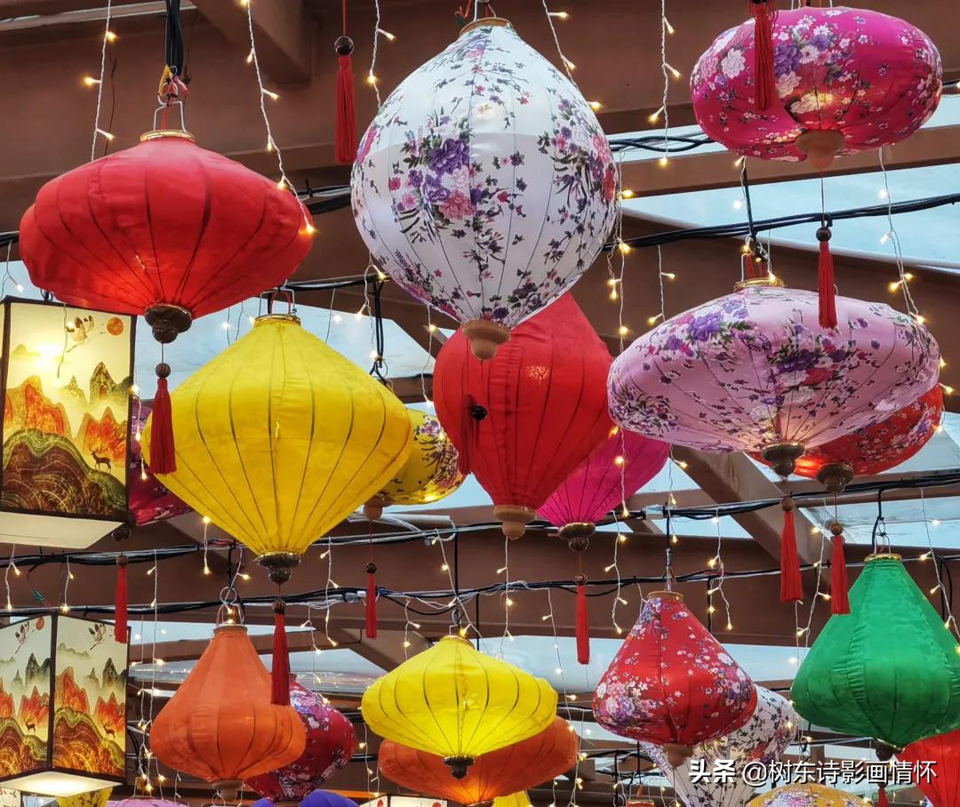 三亚红树林三亚特色,感受春天的气息和享受春天的美景