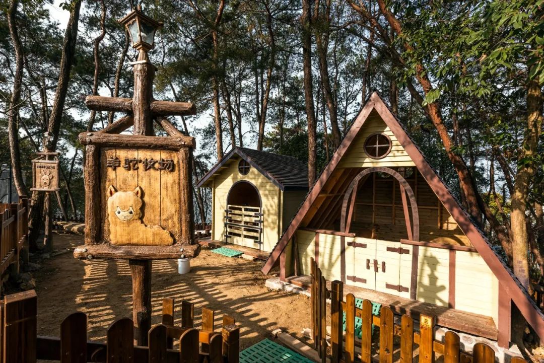 陈妙林直播,开元酒店集团董事长陈妙林