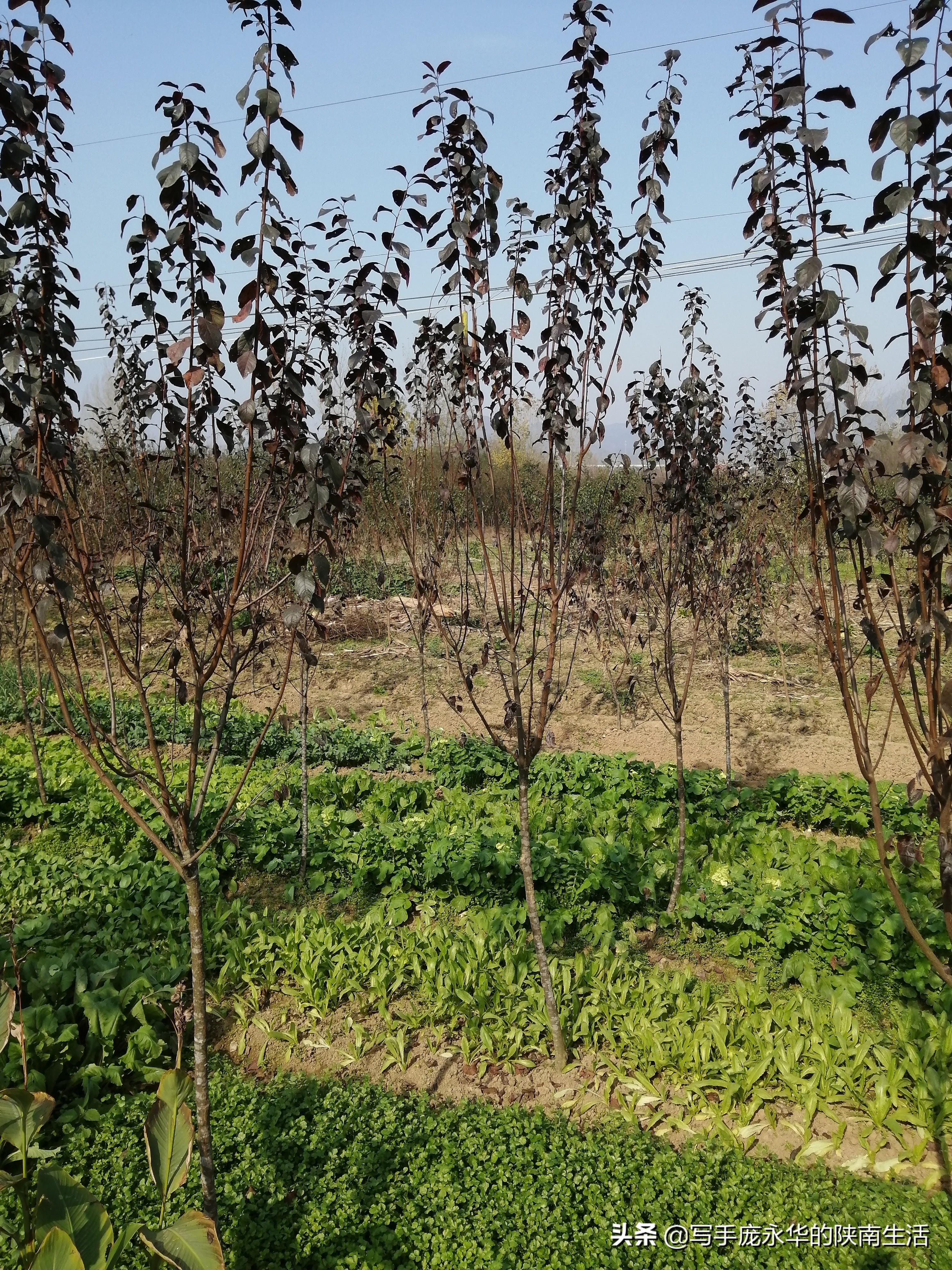 陕南西乡旅游景点大全,陕南西乡好玩吗