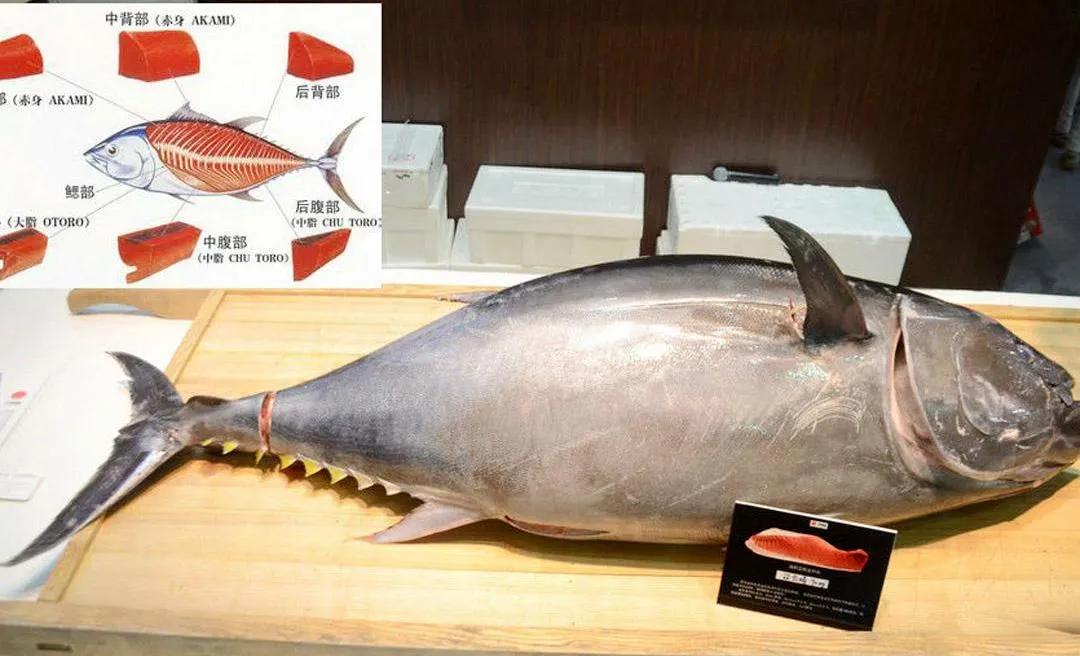 孕期有哪些需要忌口不能吃的 (孕期有什么忌口不能吃的)