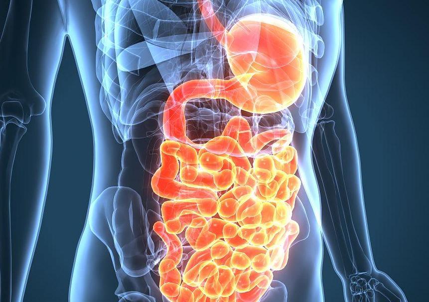 怎么刷牙嘴都臭是咋回事,怎么刷牙牙齿都有异味