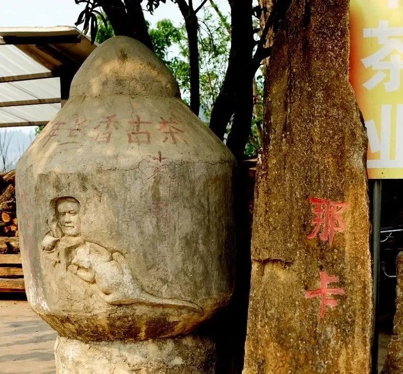 那卡茶是什么味,那卡茶的优缺点