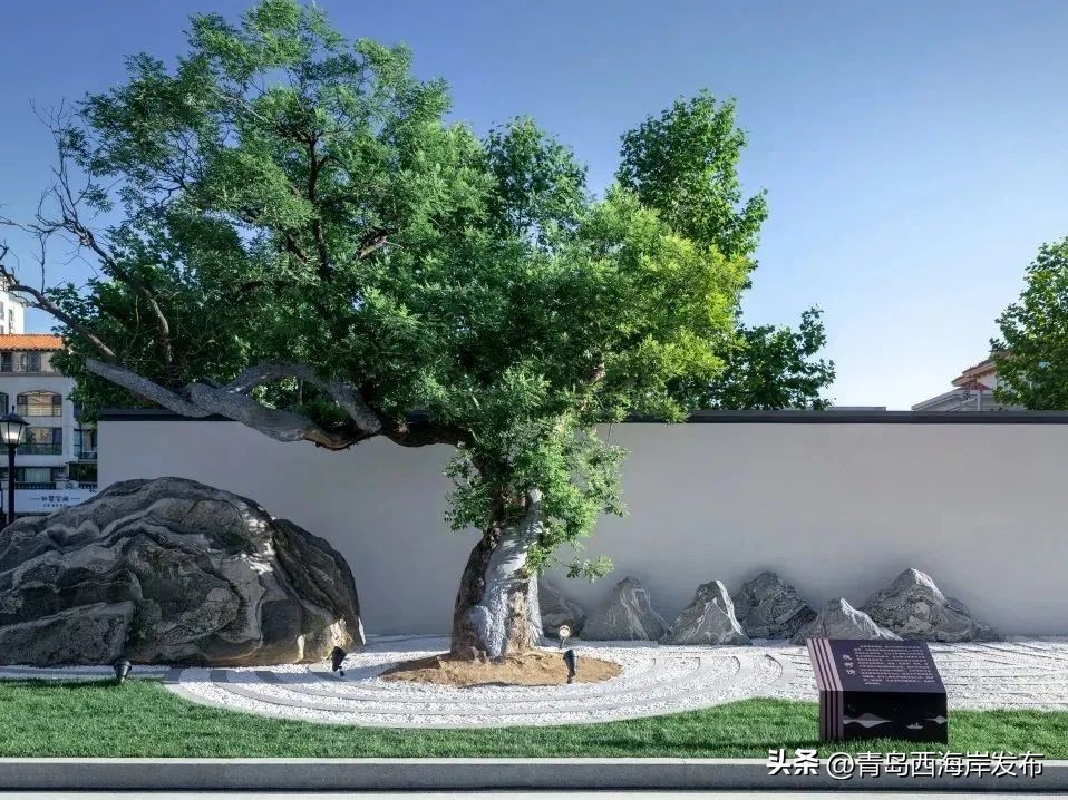 不简单！山东首个！