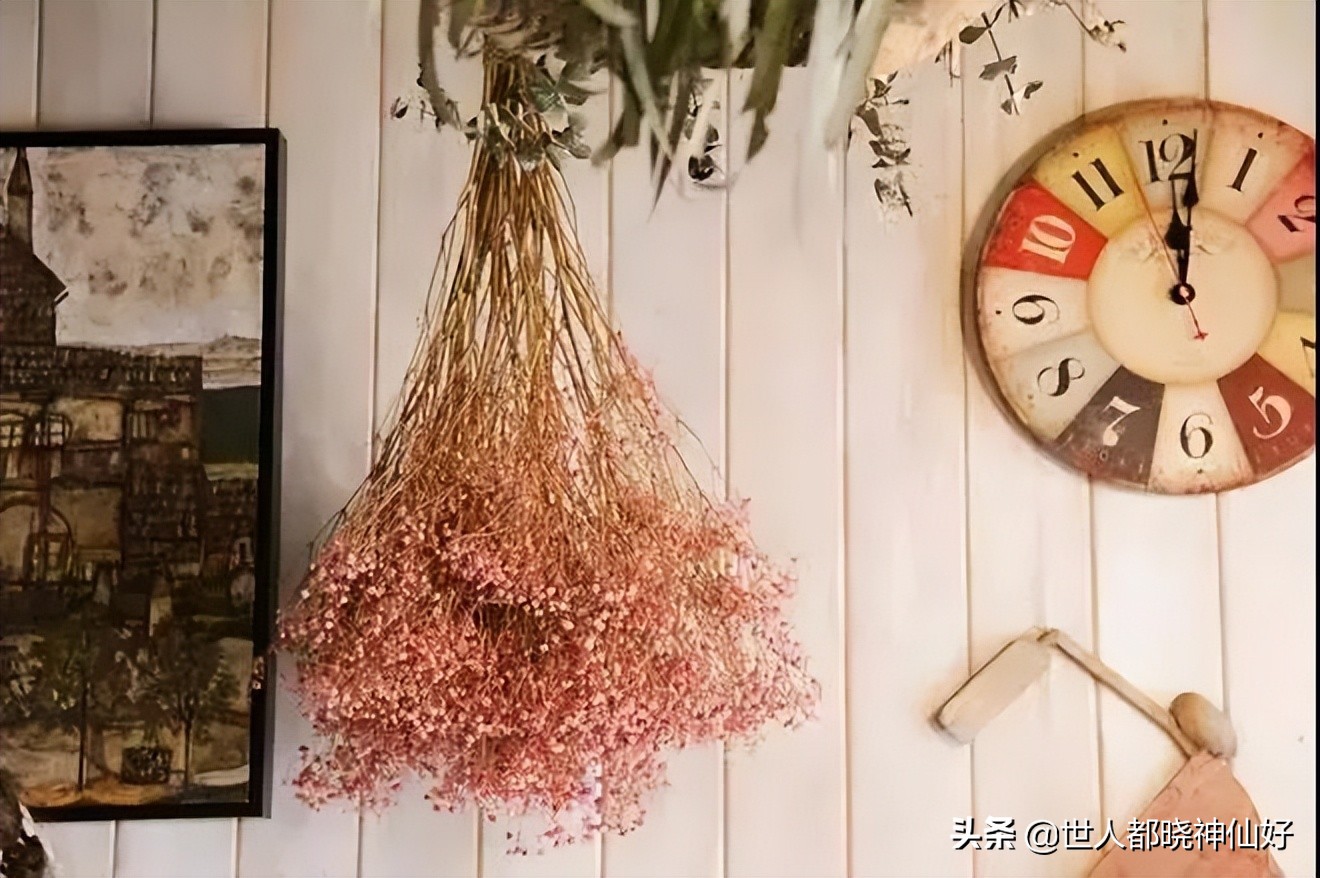 笑过后深思,笑过之后你懂得了什么