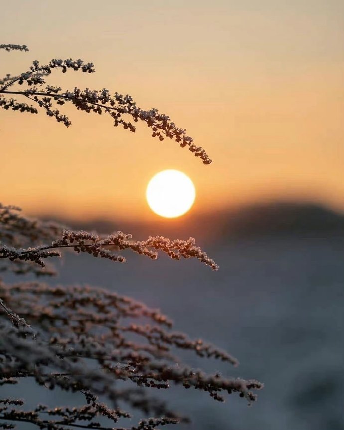 异性之间一旦缘尽会有这些信号,异性之间有这种思念才算真爱