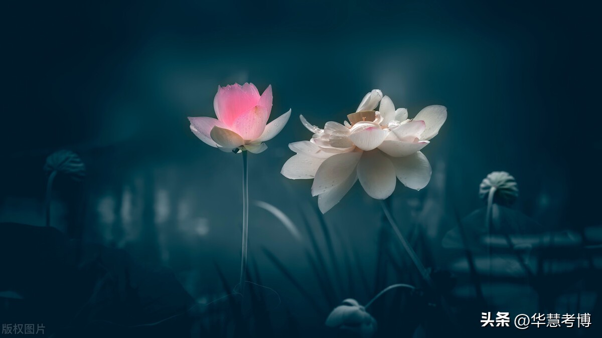 中国音乐学院博士招生分初试复试,2021年中国音乐学院博士招生