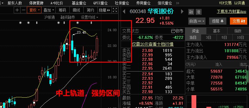 风来了，低吸新机会