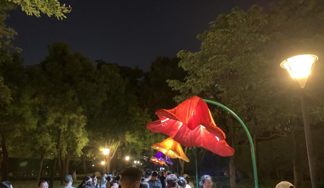 好夜色！好凉爽！夜景散步宝藏地→