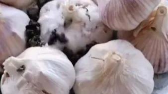 生活小妙招面包发霉了怎么办,面包没过期发霉了怎么处理