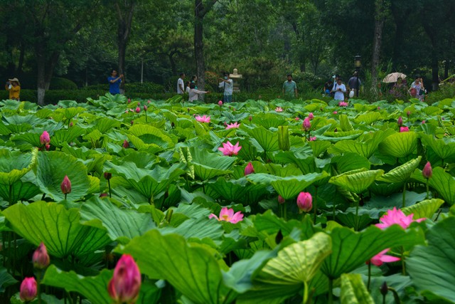 端午民间有两不游的禁忌,端午有不走亲访友习惯吗