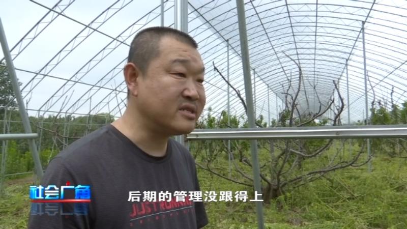 问政追踪督察整改,问政追踪石材整治